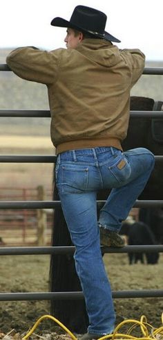 cowboy in tight wrangler jeans